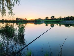 received_2636874089863884