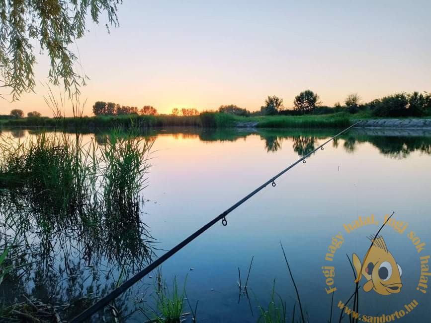 received_2636874089863884