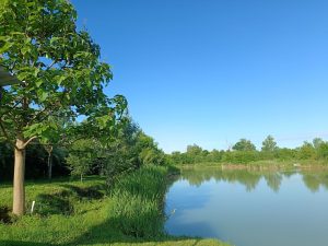 IMG_20250527_0720271