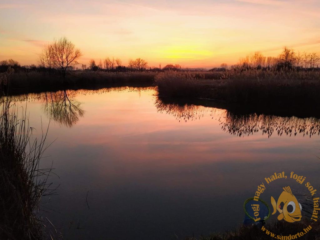 received_2249891188394615